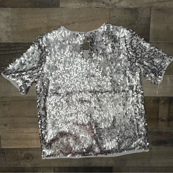 Ann Taylor Shimmery Top size XS - Picture 9 of 10